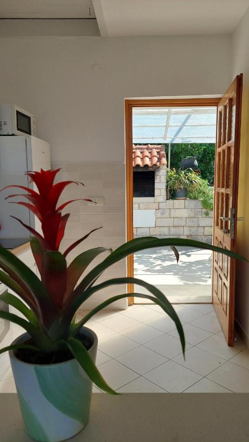 Apartmani Matea Zaton (Dubrovnik-Neretva) Exterior foto